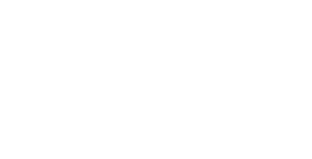 dorrprize 551